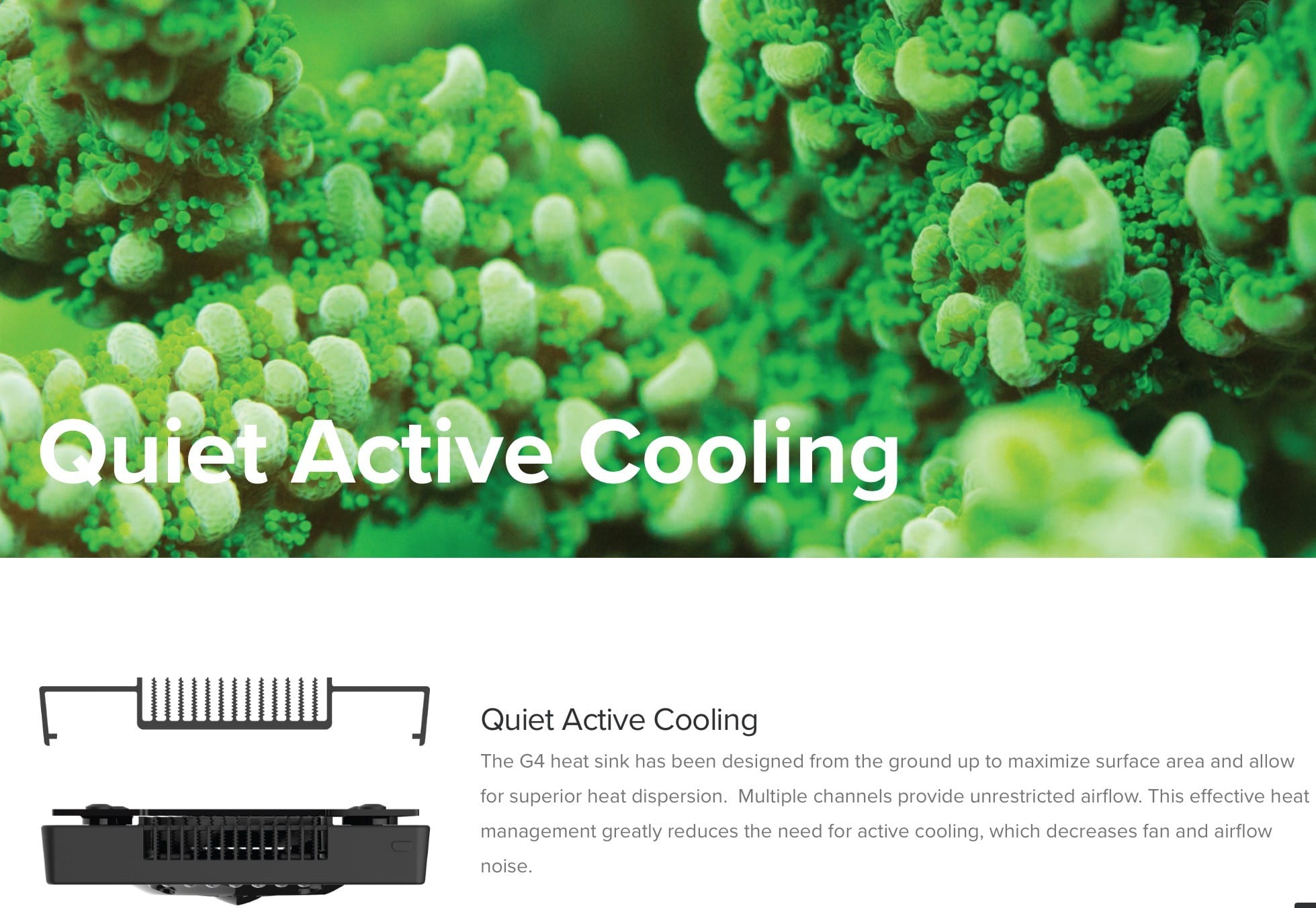 ecotech radion xr30 g4pro