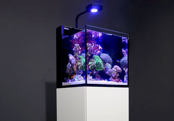red sea max nano