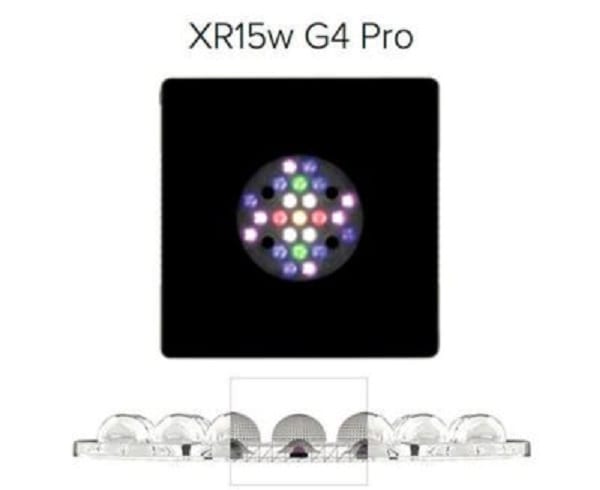 ecotech radion xr15 g4