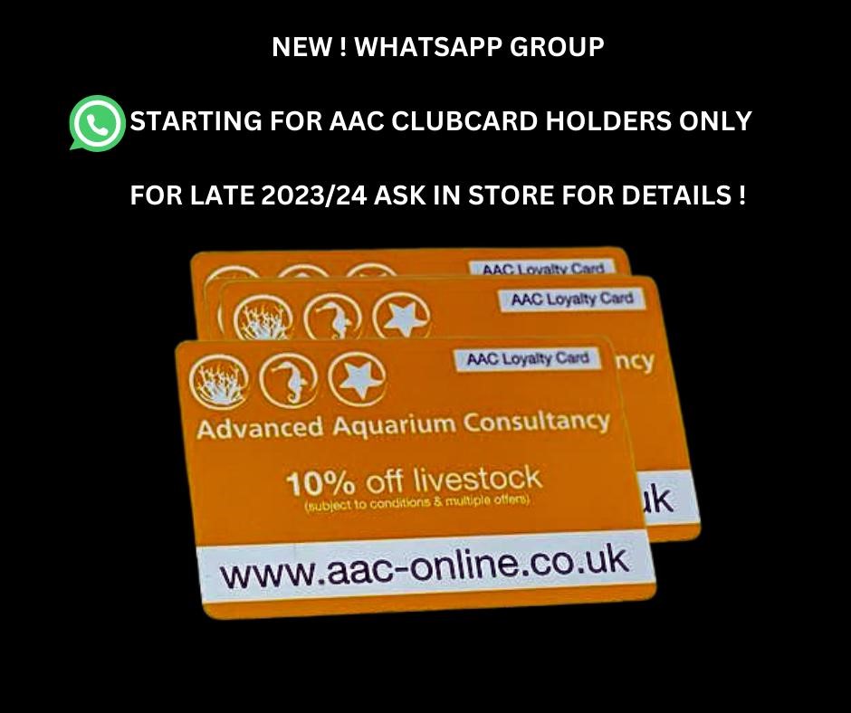 Discount aquarium store online