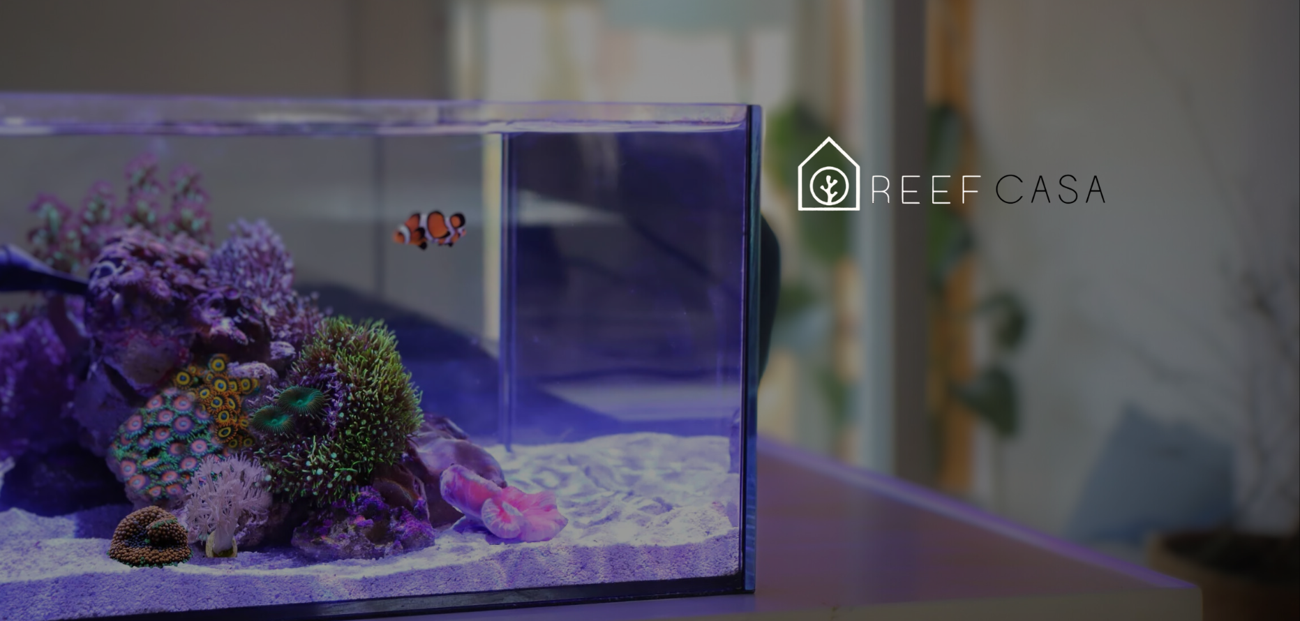 REEF CASA
