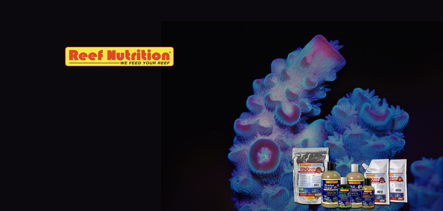 REEF NUTRITION