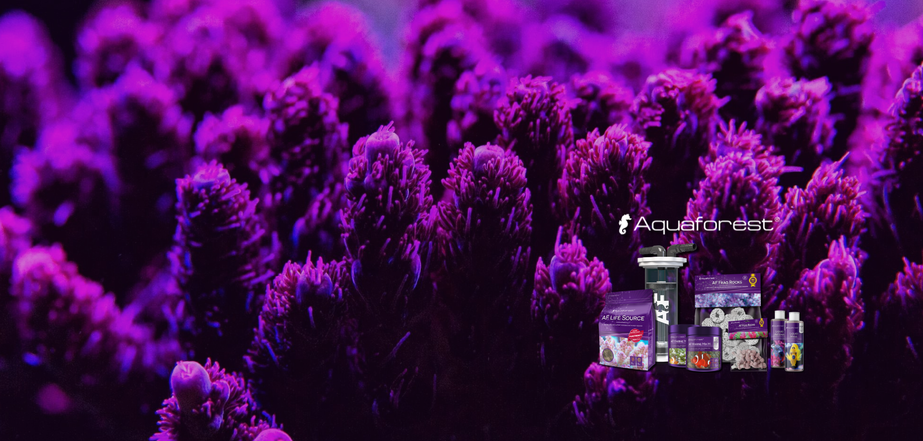 AQUAFOREST