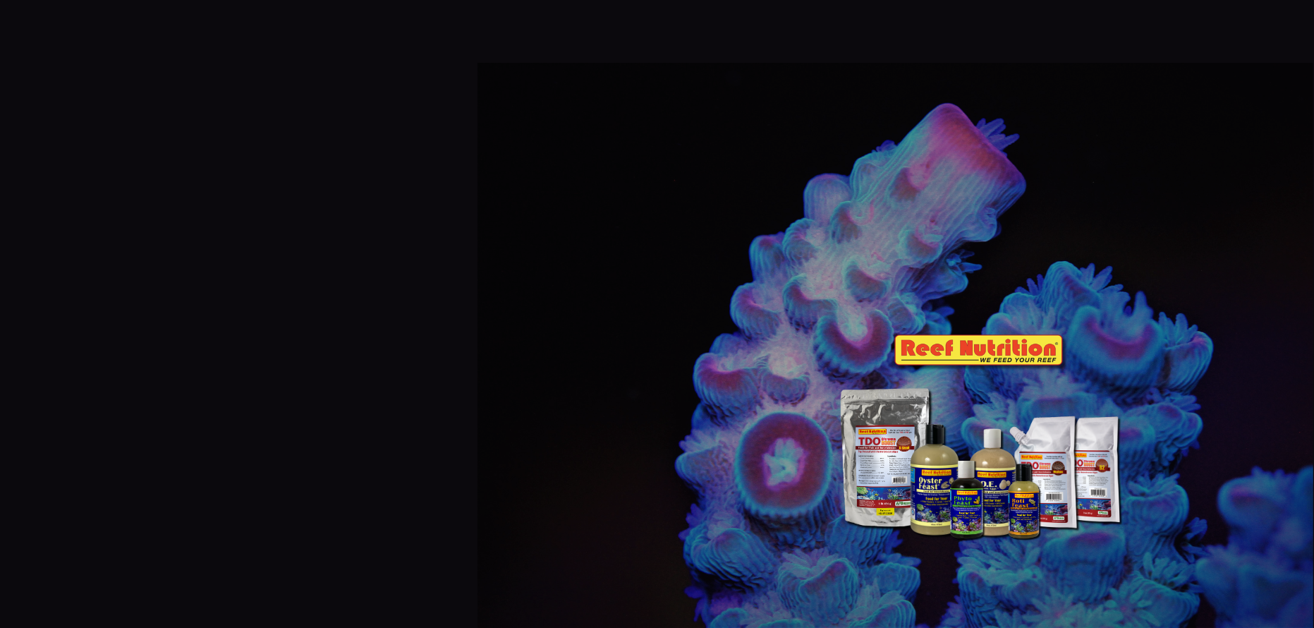 REEF NUTRITION